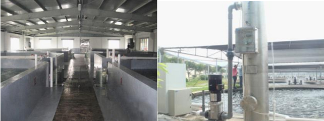 養(yǎng)魚水處理設備,水產(chǎn)養(yǎng)魚水處理設備臭氧發(fā)生器